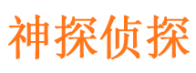 罗田外遇取证